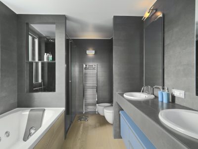 Interiors of the Modern Bathroom